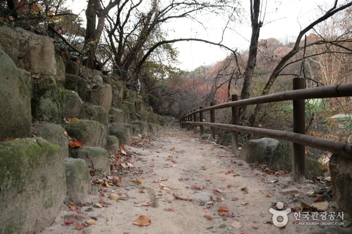 「北漢山ドゥルレ道」1松林の道（[북한산 둘레길] 1 소나무숲길 ）