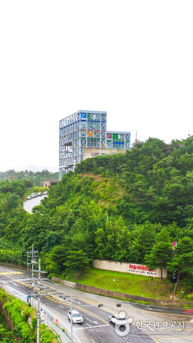 강원_강릉_정동캐슬_바베큐장1