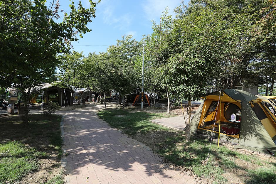 문암생태공원캠핑장