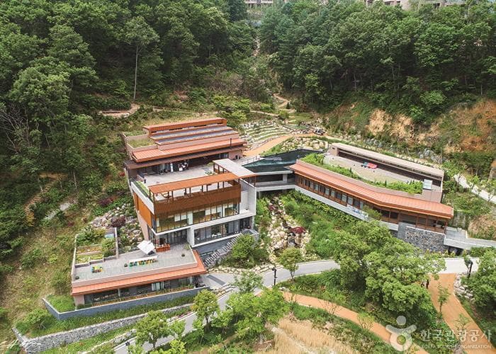 ヒーリエンス・ソン村 (힐리언스 선마을)