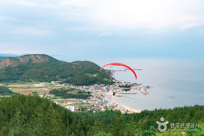 It’s 체리 타임! 6월 한정판 체험 새콤달콤한 체리 따러 포항으로_곤륜산 활공장_10