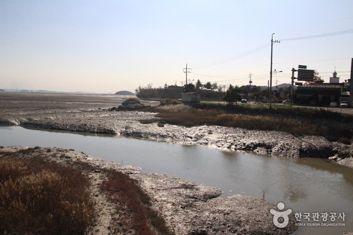 [Parcours 8 du chemin Ganghwa] Chemin des oiseaux migrateurs ([강화 나들길 제8코스] 철새 보러 가는 길)