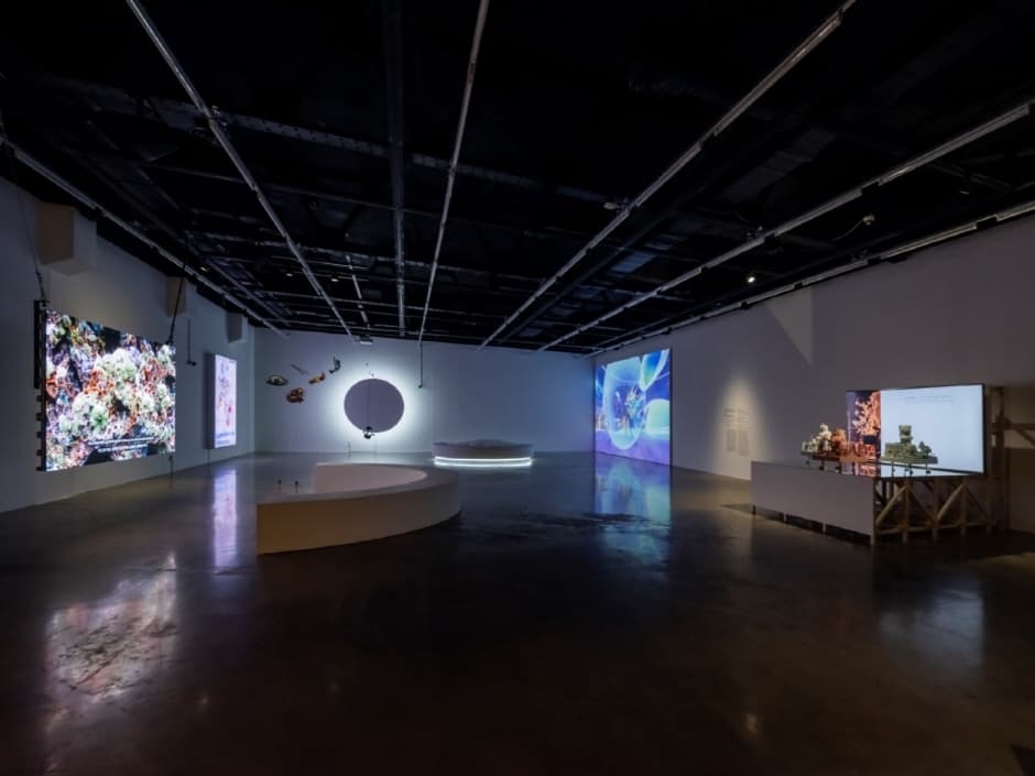 아르코미술관 (6)