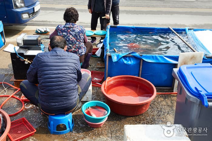 북평민속오일장 2021 촬영 6