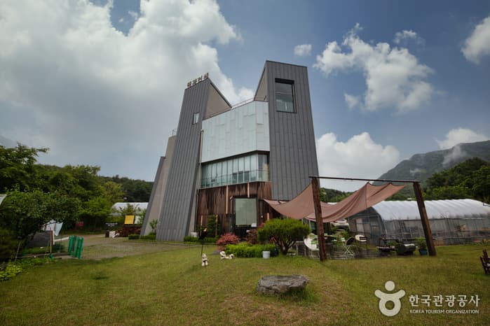 책과인쇄박물관