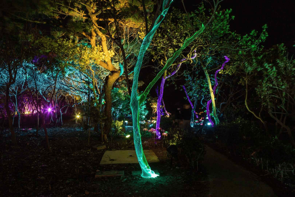 진하해수욕장 (2)