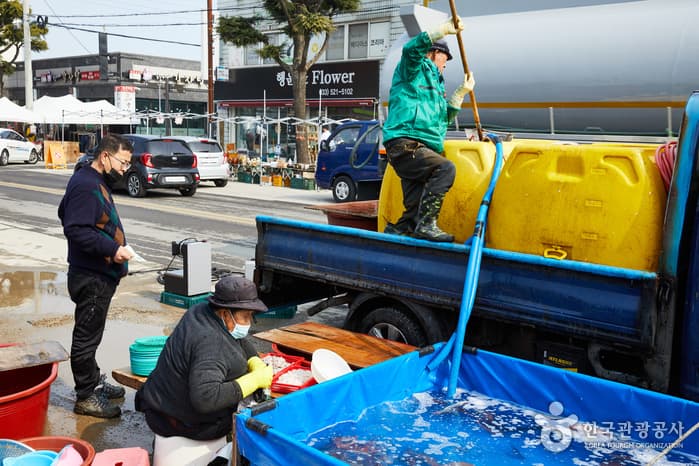 북평민속오일장 2021 촬영 7