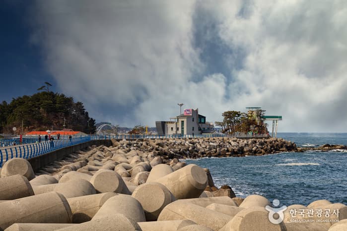 남애항 2021 촬영 2