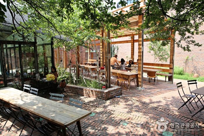 강원_강릉_바다와 커피의 도시, 강릉에서 숲을 만나다 강릉솔향수목원16