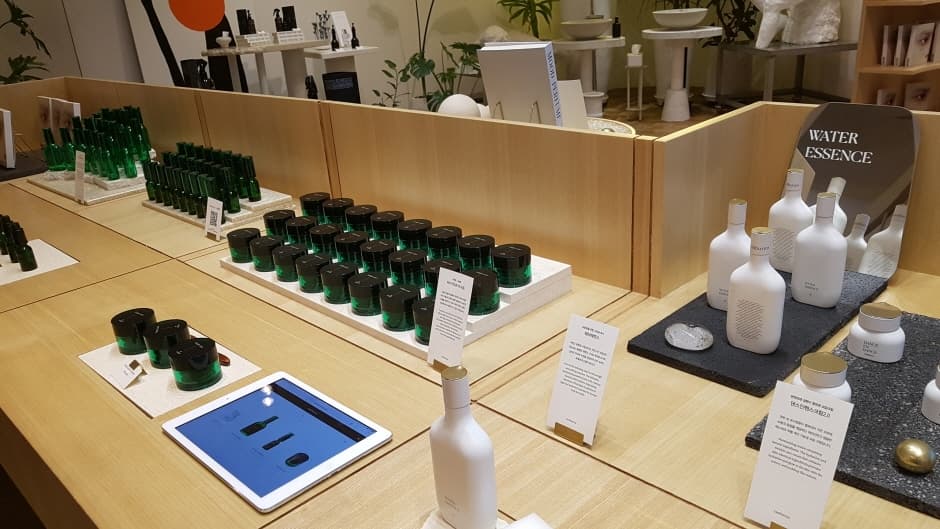 탬버린즈 가로수_3