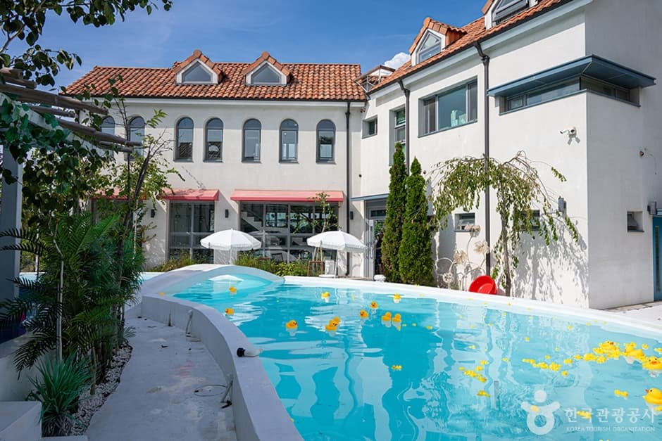 더화이트버치 (14)