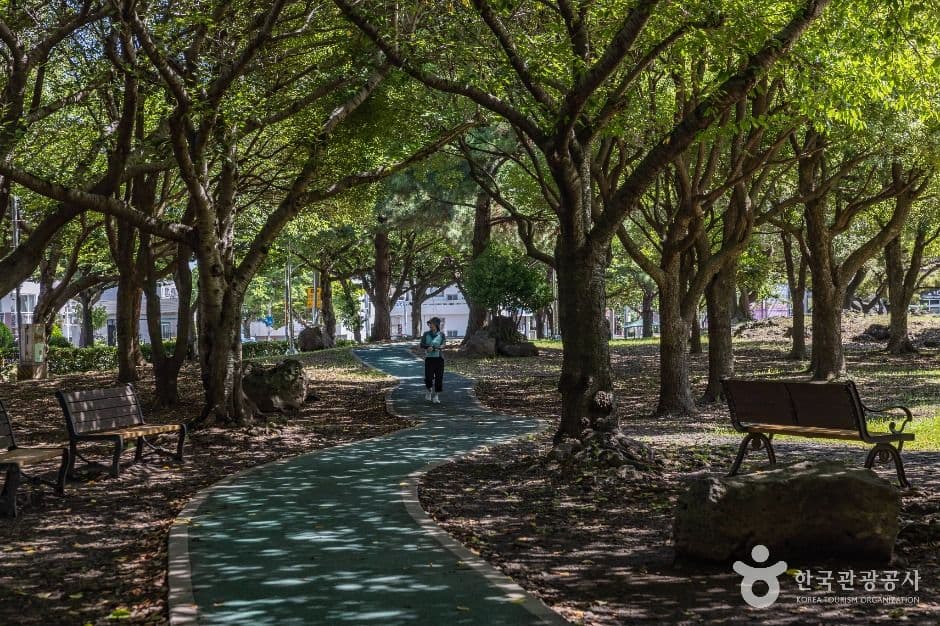 제주_신산공원 (5)