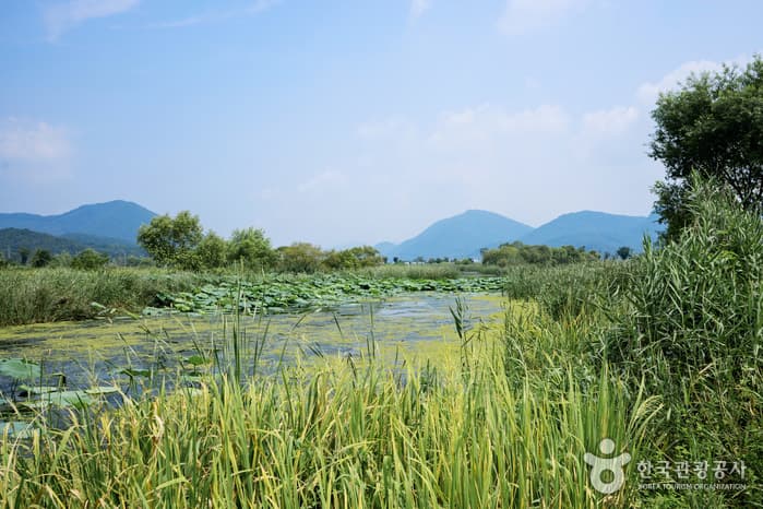 경기_남양주_슬로시티 남양주 조안12