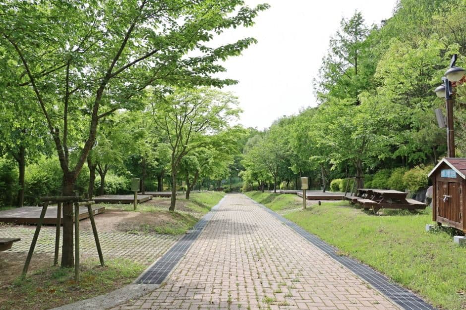 팔공산국립공원 도학야영장