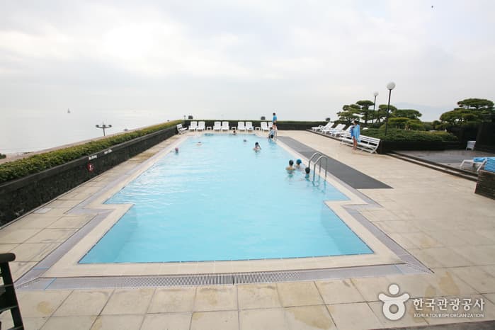 부산 해운대구_파라다이스호텔 부산_부대시설(수영장)