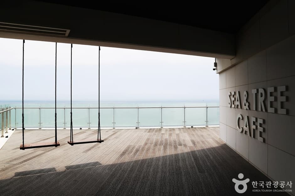 Sea & Tree 咖啡馆（씨앤트리 카페）