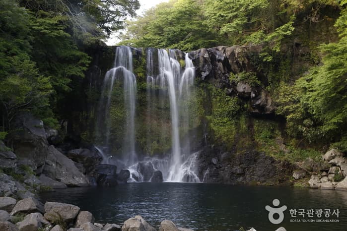 제주_서귀포_중문진실캠핑장13