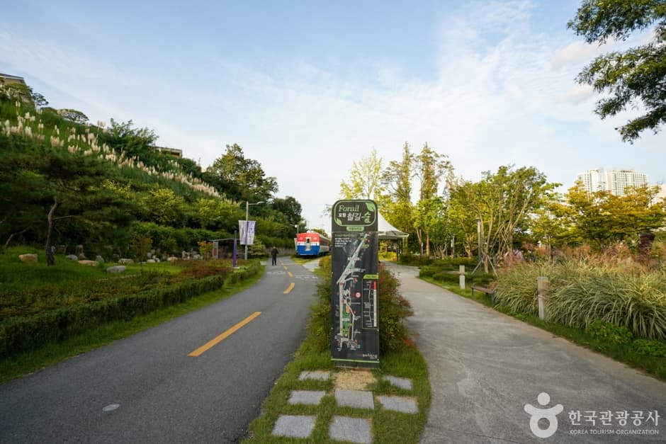 경북_포항_철길숲 & 불의정원 (7)