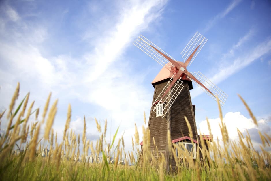 Parc écologique Sorae 소래습지생태공원