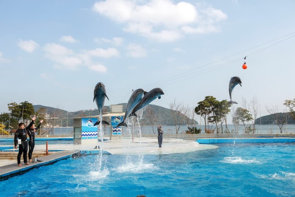 Geoje Sea World (거제씨월드)