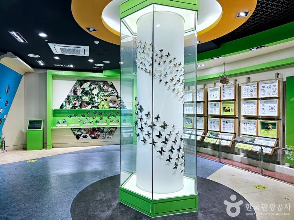 양평곤충박물관_7