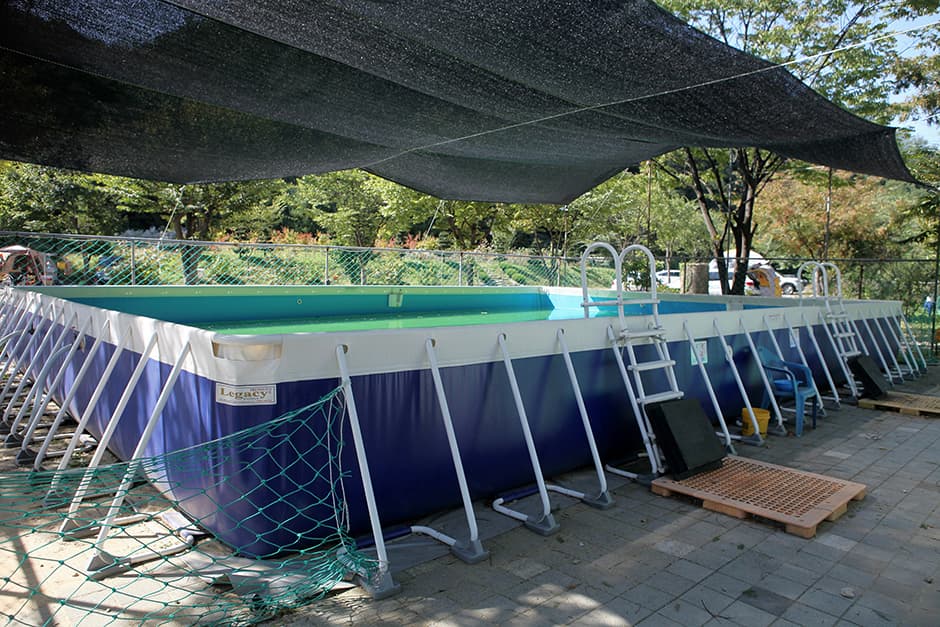 전원일기마을캠핑장_수영시설