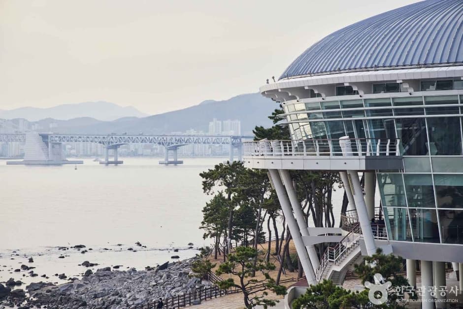 海雲臺冬柏島(해운대 동백섬)