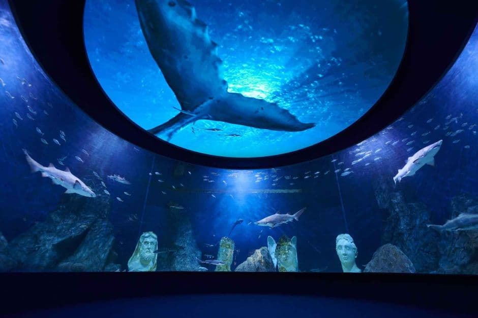 Aquarium de la Expo de Daejeon (대전 엑스포 아쿠아리움)