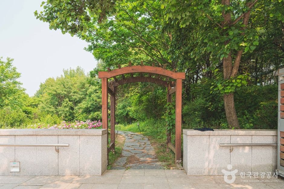 서울_국립중앙박물관 전통염료식물원 (1)