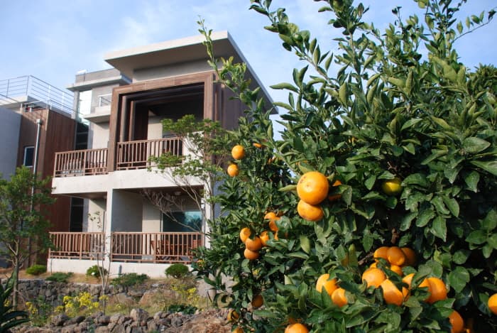 济州生态套房（Jeju Eco Suites）[韩国旅游品质认证/Korea Quality]（제주에코스위츠[한국관광 품질인증/Korea Quality]）