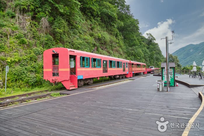 Rail Park de Gangchon (Ciclorraíl de Gimyujeong) (강촌레일파크 (김유정레일바이크))