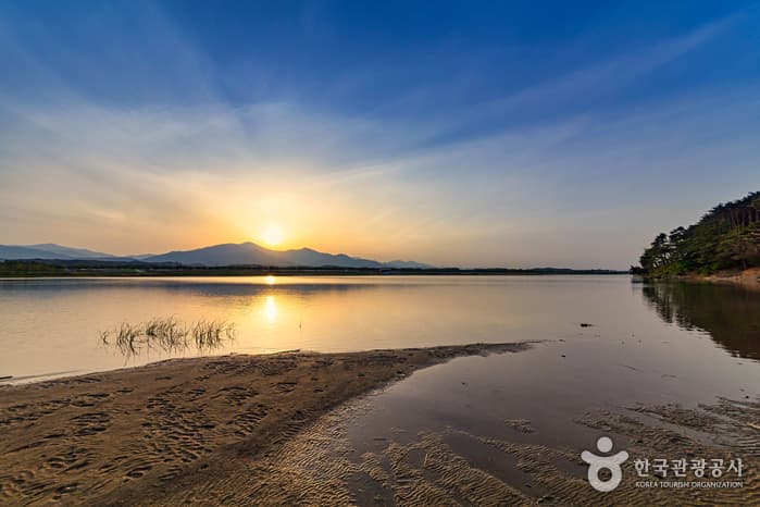 Arroyo Namdaecheon (남대천)