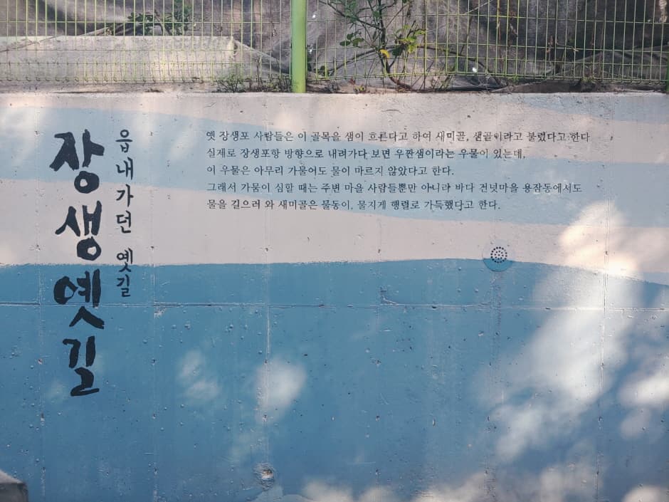 장생옛길& 장생포 둘레길 (8)