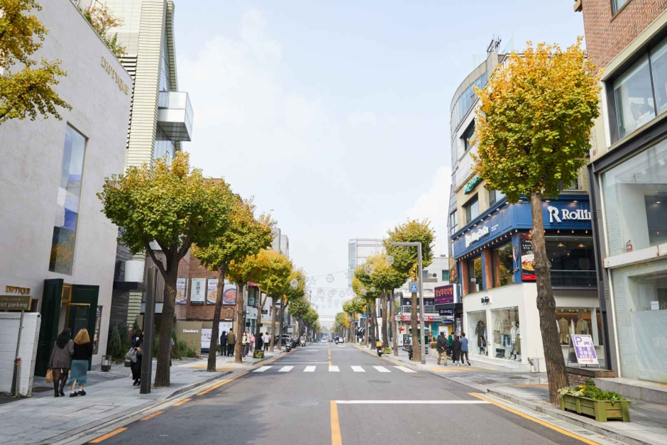 신사동 가로수길