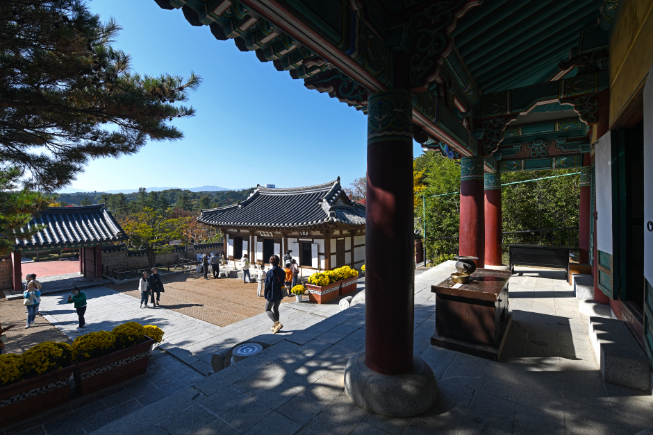 강릉 오죽헌 (3)