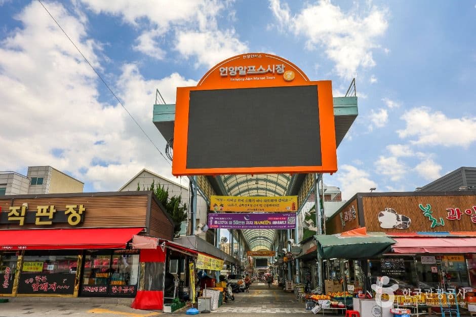 가을 나들이 추천, 시간을 달리는 울주 유네스코 역사 여행_언양알프스시장_5-1