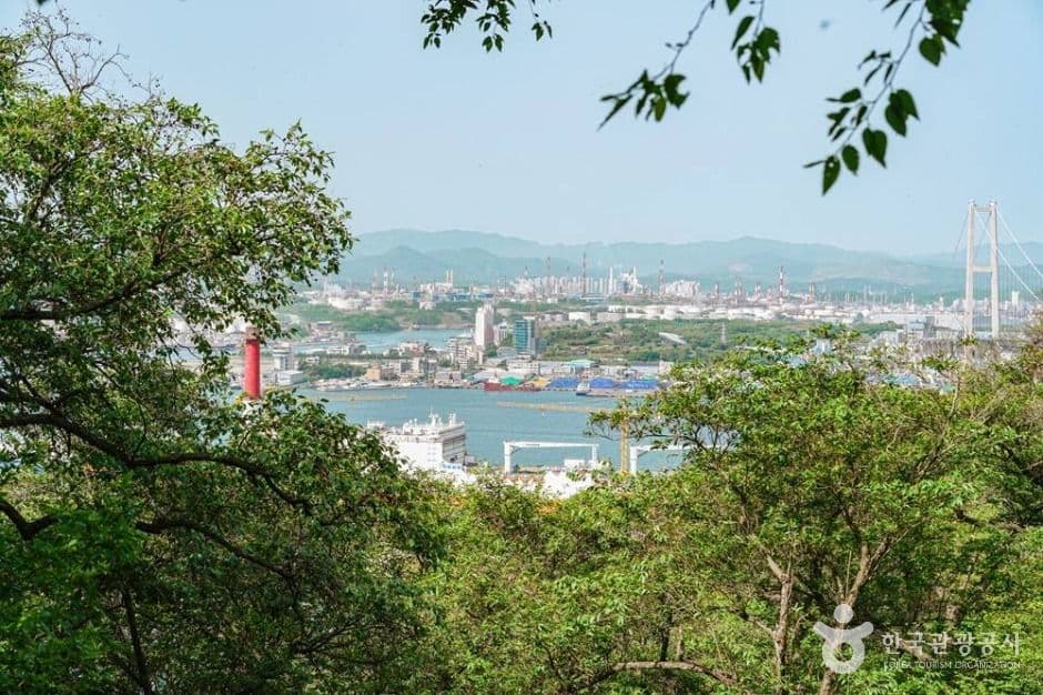 [해파랑길] 8코스