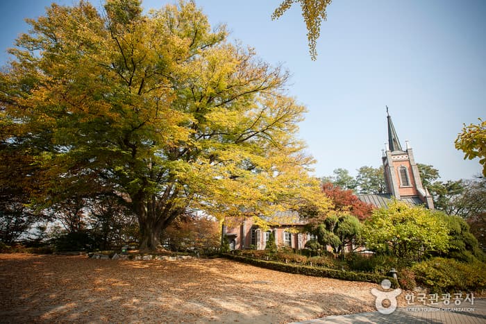 충남_아산_공세리성당03