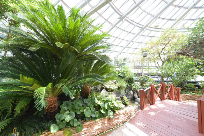 국립중앙과학관_19