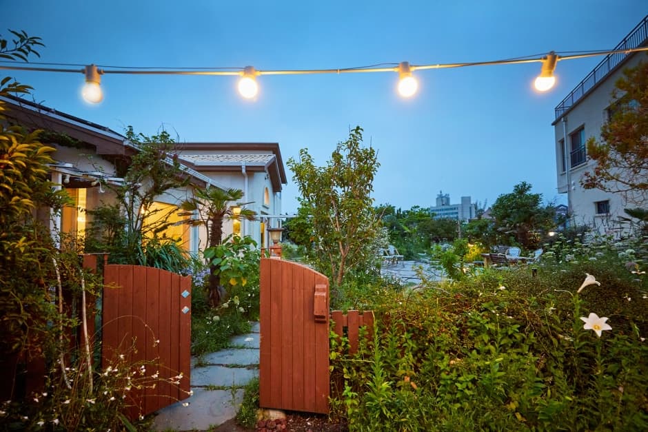 시트러스가드닝 (1)