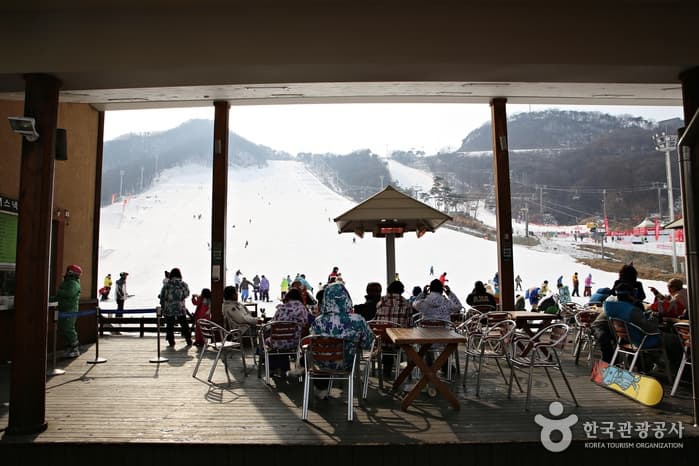 Estación de Esquí de Jisan Forest Resort (지산 포레스트 리조트 스키장)