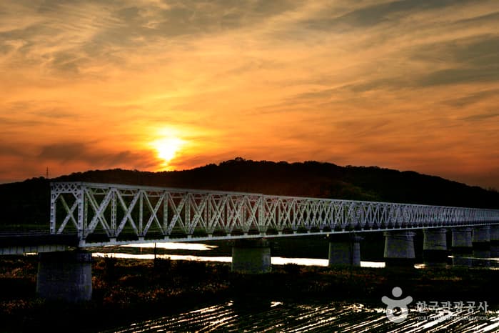 自由の橋（坡州）（자유의 다리（파주））