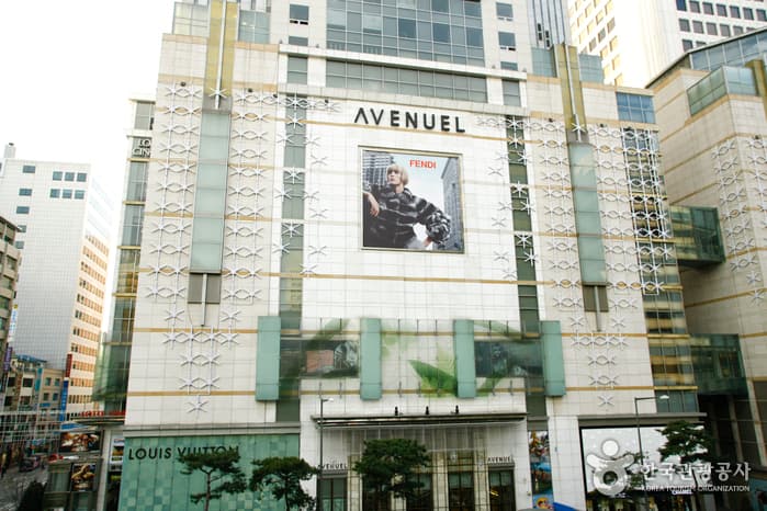 Tiendas Departamentales Lotte (Sucursal de Avenuel) (롯데백화점 본점 에비뉴엘)