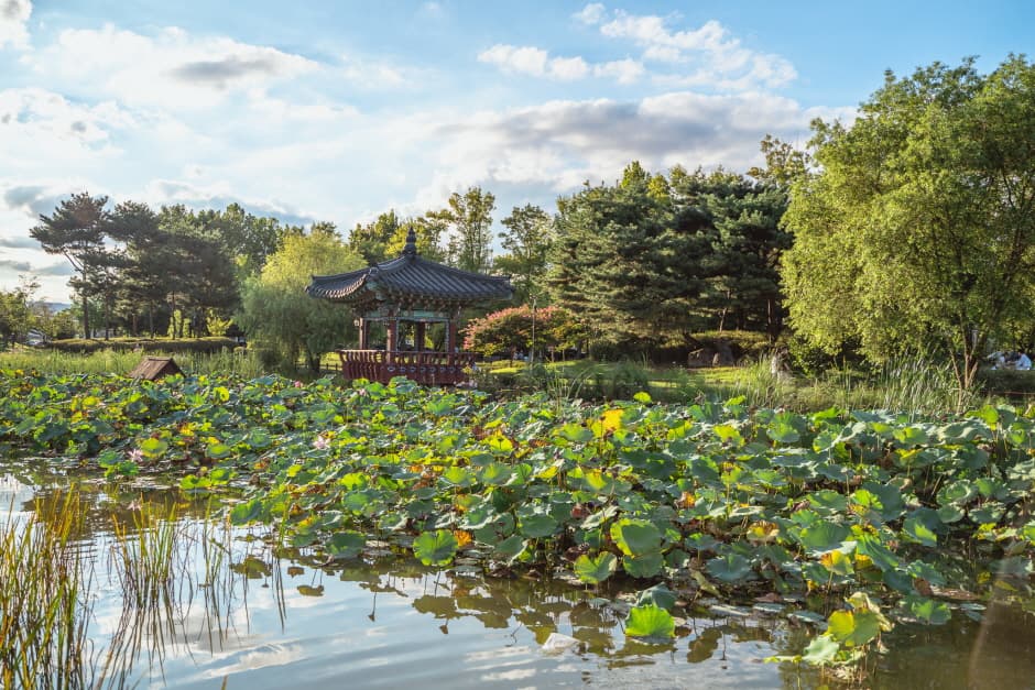 Parque Yurim (유림공원)