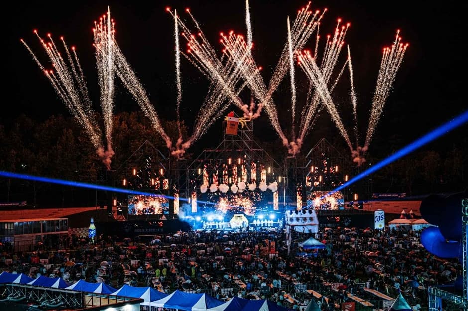 Фестиваль пива и курицы в Тэгу (대구치맥페스티벌)