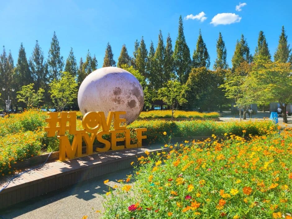 Festival de las Flores de Otoño de Goyang (고양가을꽃축제)