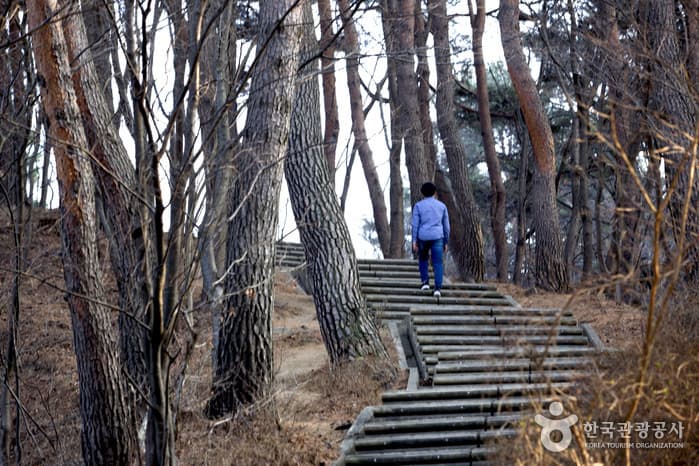 하조대 둘레길 2021 촬영 3