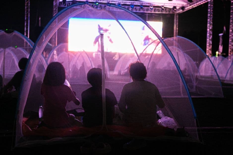 2025 세종 조치원 복숭아 축제 4