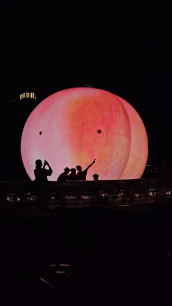 2025 세종 조치원 복숭아 축제 6