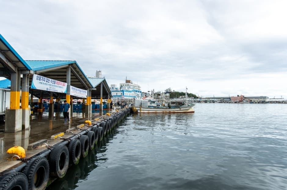 주문진항_4